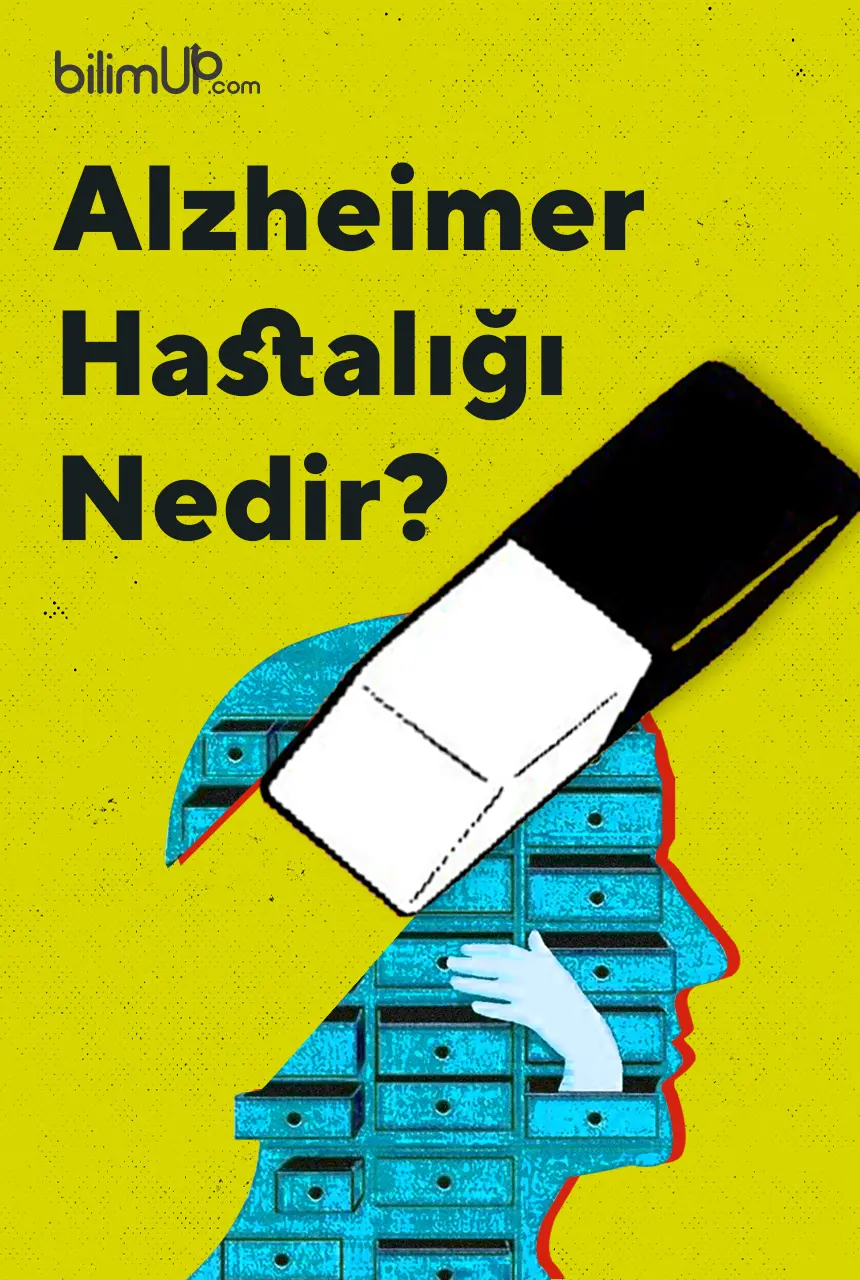 Alzheimer Hastalığı Nedir? - BilimUP