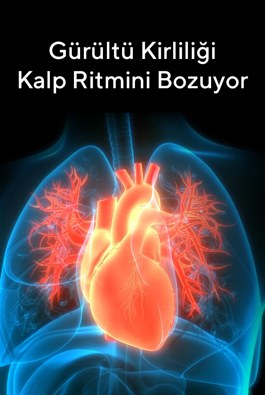 gürültü_kirliliği_kalp_ritmi-yYnv.webp