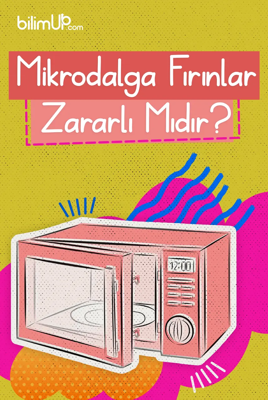 Mikrodalga F R Nlar Zararl M D R Bilimup